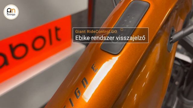 Giant Reign E+ 3 (2022) - Ambringa Ebike Videók смотреть онлайн