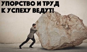 Тишина ключ к успеху 🤫 #shorts #мотивация #успех #motivation #шумнаведётуспех