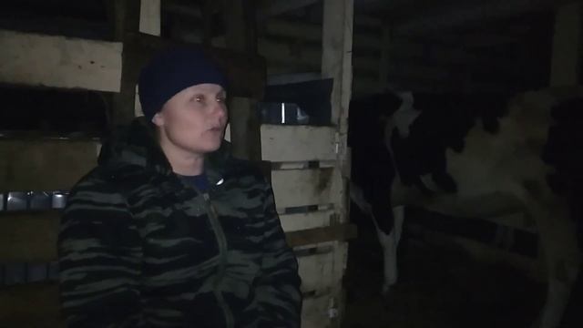 Завалило снегом/Отключили электричество. ??? смотреть онлайн