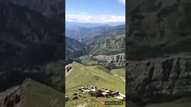 Аллаху Аллах смотреть онлайн