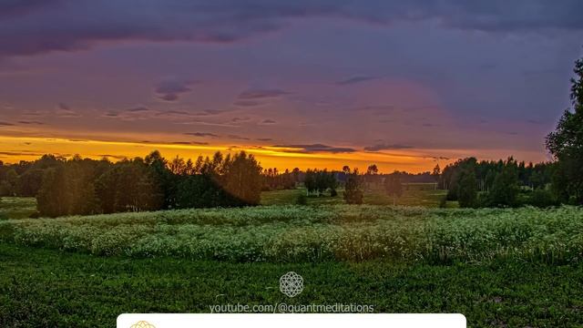 Высокие вибрации благодарности ✨ Измени свою жизнь за 4 минуты в день ✨ Мощная мотивация на утро смотреть онлайн