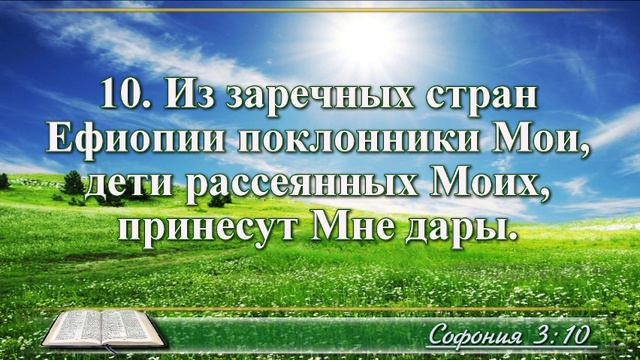 Книга пророка Софонии с музыкой глава 3 читаем и слушаем смотреть онлайн