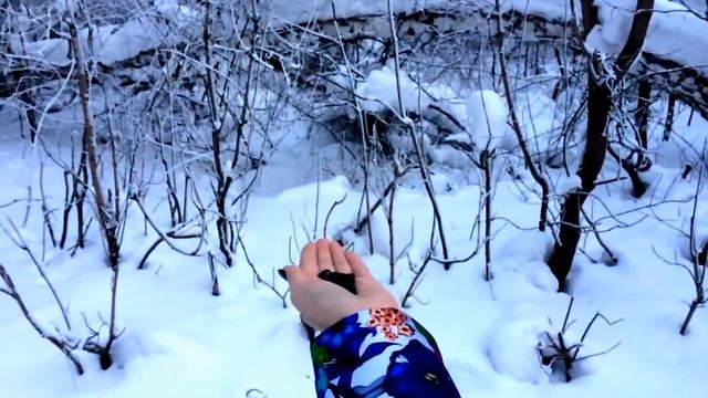 Лесные птицы смотреть онлайн