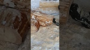 Угол сруба в « Нижнюю чашу»