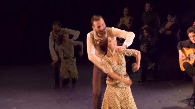 PASO A DOS, de MARCO FLORES Y OLGA PERICET. Flamenco, Danza. Cia Marco Flores смотреть онлайн