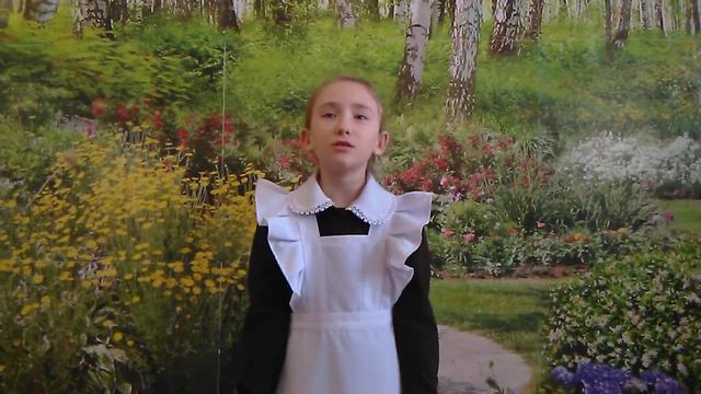 VID 20190131 1531331 смотреть онлайн
