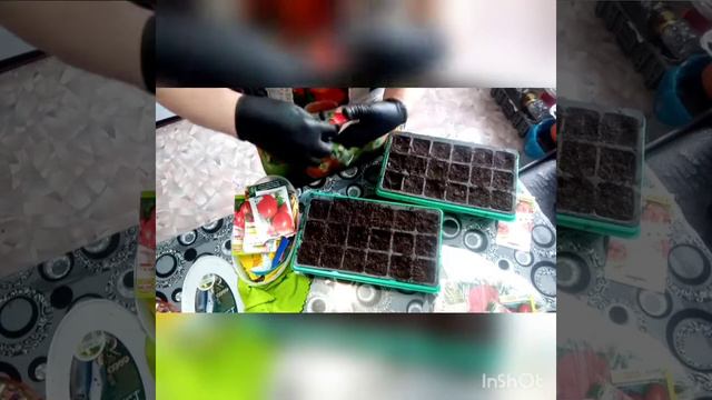 Посадка томатов, для начинающих садоводов. Как делаю я!