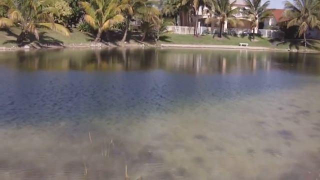 Treble Hook Lure vs.Circle Hook Lure with Holographiclures.com смотреть онлайн