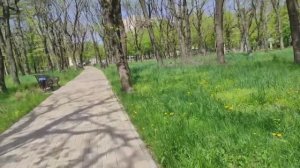 #вышивка Вышивальная неделя 17_многоцветки_прогулка по парку