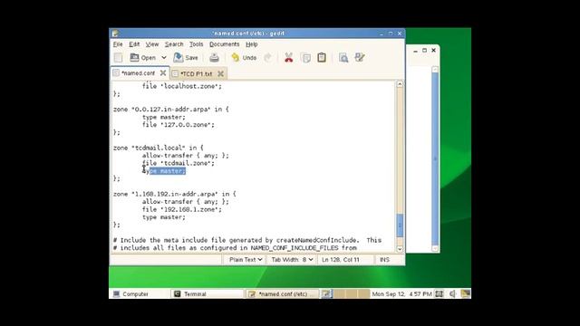 Configuración DNS SUSE Linux Enterprise Server 11 SP4 смотреть онлайн