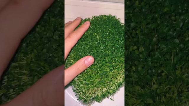 Стройка Формат