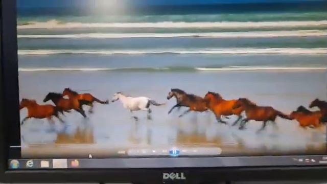 TESTE DE FUNCIONAMENTO MONITOR DELL E1914Hc Z1619 смотреть онлайн