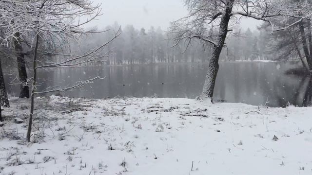 А снег идёт... Гатчинский парк, Белое озеро. 23.04.2017, 08:20 смотреть онлайн