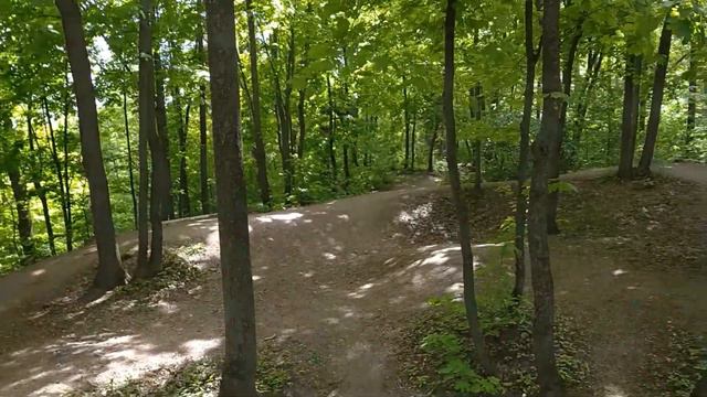 Где же Саша? А был ли мальчик? Катание по лесным горкам.