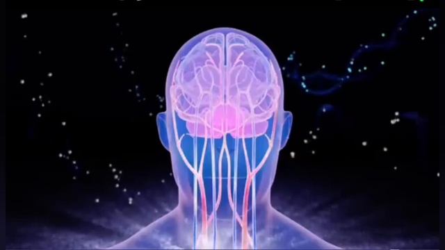 МАТРИЦА П.П. ГАРЯЕВА ДЛЯ ОЧИСТКИ СОСУДОВ ГОЛОВНОГО МОЗГА.   English (see Description)