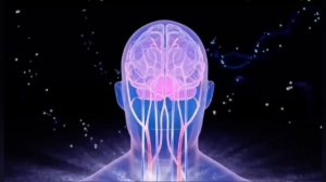 МАТРИЦА П.П. ГАРЯЕВА ДЛЯ ОЧИСТКИ СОСУДОВ ГОЛОВНОГО МОЗГА.   English (see description)