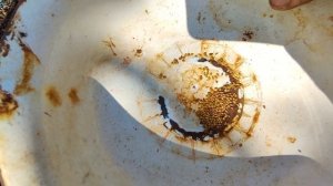 Настройка СЗТ 3,6 на высев люцерны