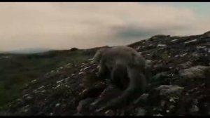 Ной сотворение мира