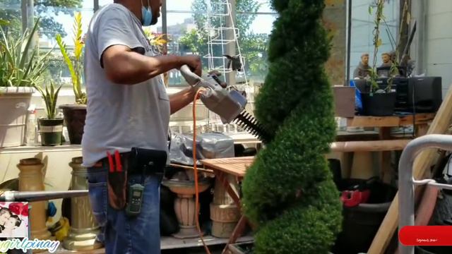 How to Trim a Perfect Spiral Topiary смотреть онлайн