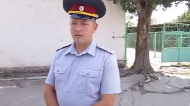 Профессия Кинолог. Дрессировка собак смотреть онлайн