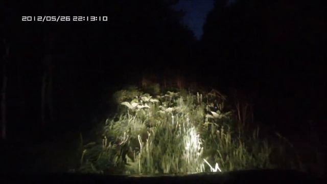 Ночь Лесная дорога смотреть онлайн