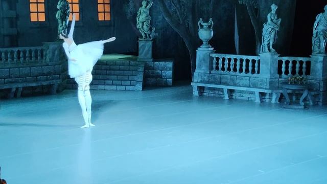 Сцена из балета "Бахчисарайский фонтан" в Мариинском театре смотреть онлайн