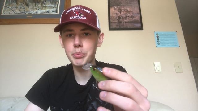 Xcite Baits XB-5 Review