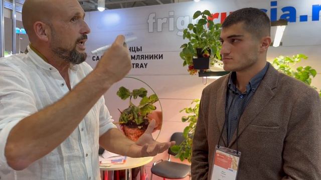 Итальянский бизнес на клубнике /опыт выращивания клубники и советы от Франко Зенти смотреть онлайн