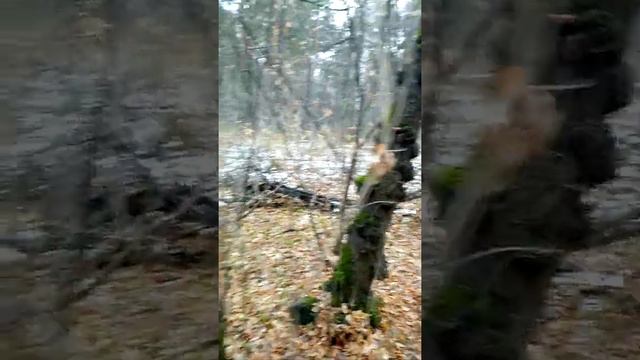 чудеса природы смотреть онлайн