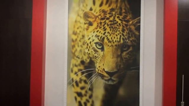 Кафе "Ситора" | г. Екатеринбург, ул. Хохрякова, 74. | Реклама смотреть онлайн