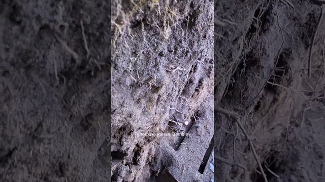 Три ноги оторвало у всушника смотреть онлайн