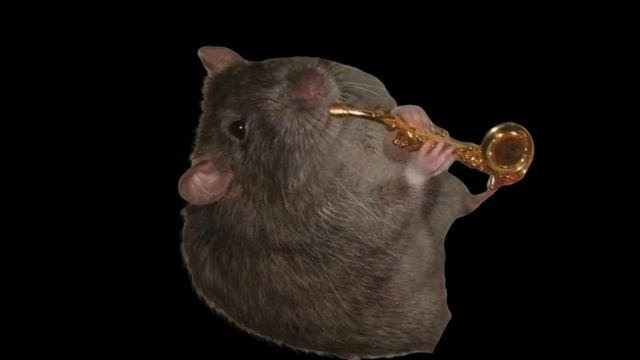 Saxophone Rat смотреть онлайн
