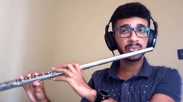 Alan Walker x Salem Ilese - Fake A Smile (Flute Cover) смотреть онлайн