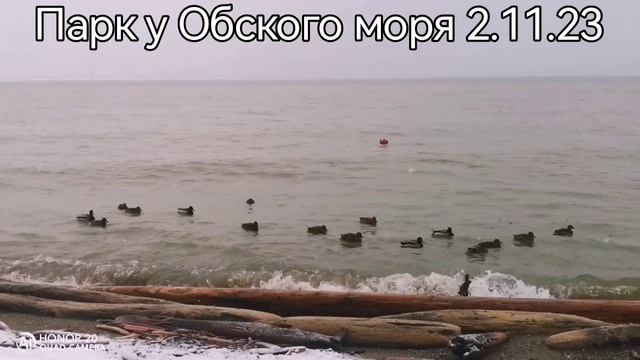 Ноябрь 2023 года. //Начало. смотреть онлайн