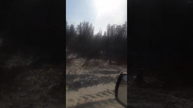 Приразломное м/р ханты манскийский округ смотреть онлайн
