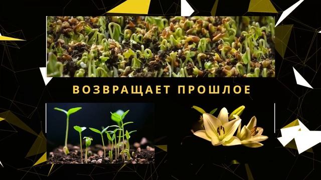 Видеопрезентация сервиса www.vtl.su смотреть онлайн