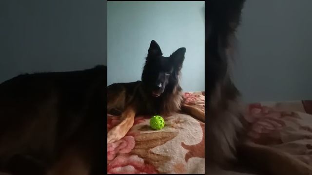 Вениамин. привет из дома смотреть онлайн