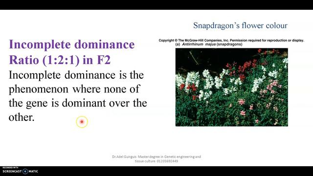 Lack of dominance смотреть онлайн