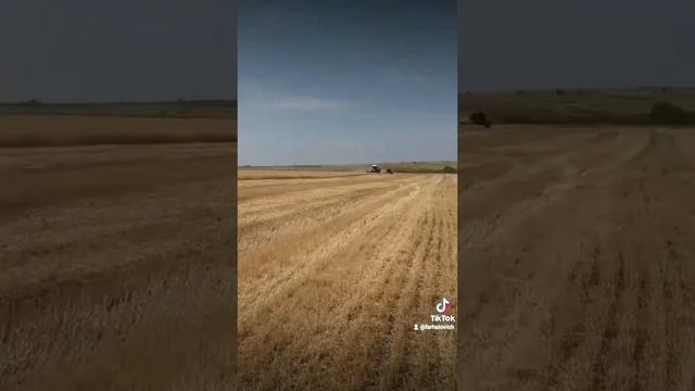 комбайнеры