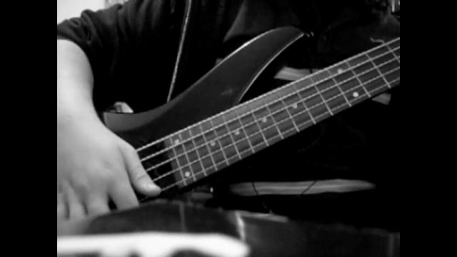 Testing My New Ernie Ball Custom Gauge Bass Strings! смотреть онлайн