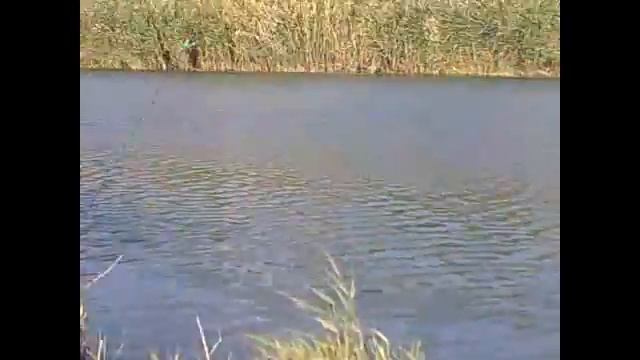 рыбалка в Новочеркасске. р.Аксай смотреть онлайн