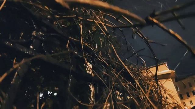 VID 20230103 205107 Чтоб нам друг друга взглядами любить...(Эмиль Верхарн) Павел Васильев Лахтински смотреть онлайн