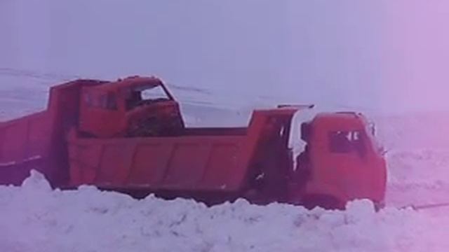 Битый не битого везёт, суровый север!!! смотреть онлайн