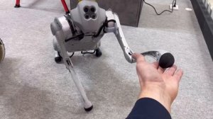 Собака-робот выполняет разные трюки. Робопес бегает. Роботы игрушки