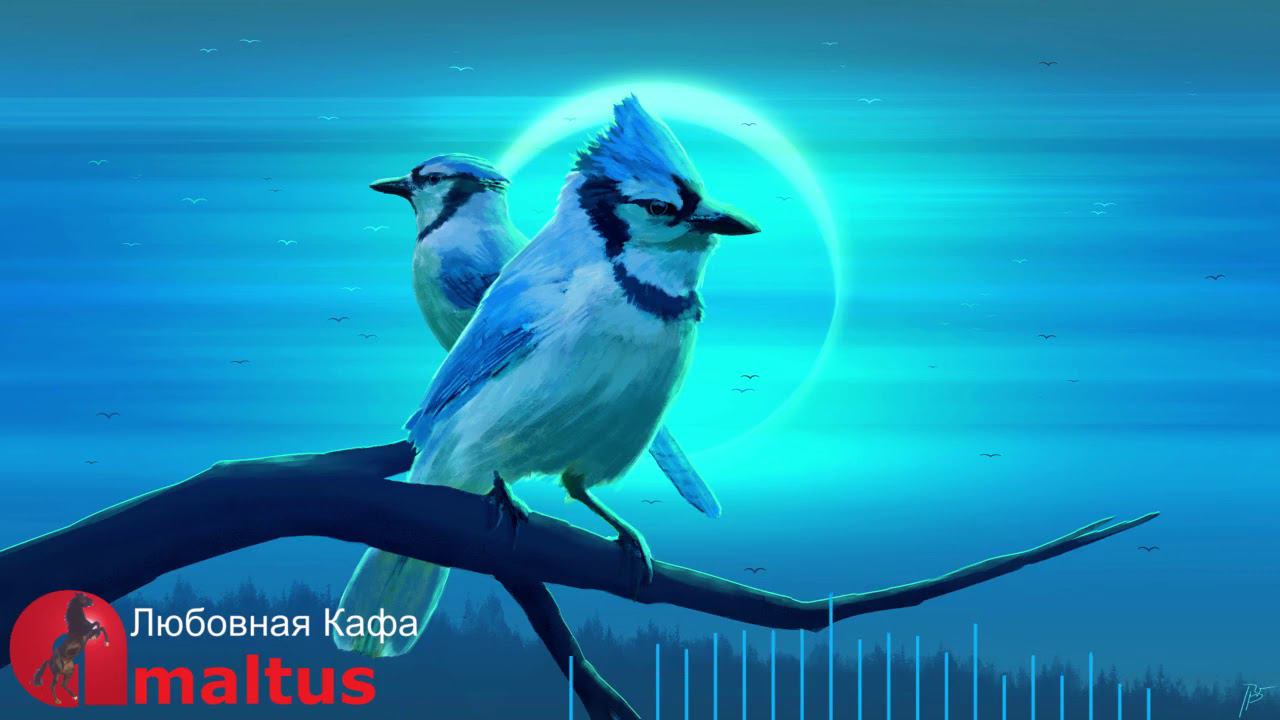 Любовная Кафа [Amaltus] смотреть онлайн