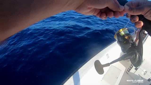 How I bottom Drift for Mutton Snapper w/ EPIC Mexican style Catch and Cook смотреть онлайн