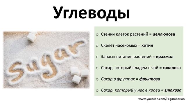 5. Химические вещества (5 класс) - введение в Биологию смотреть онлайн