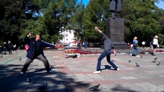 Что будет если кинуть живого голубя в человека=))прикол...ахах смотреть онлайн