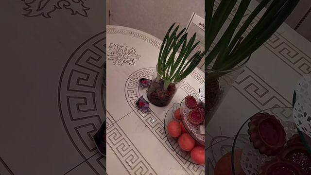 Гиацинты отцвели и что потом...? смотреть онлайн