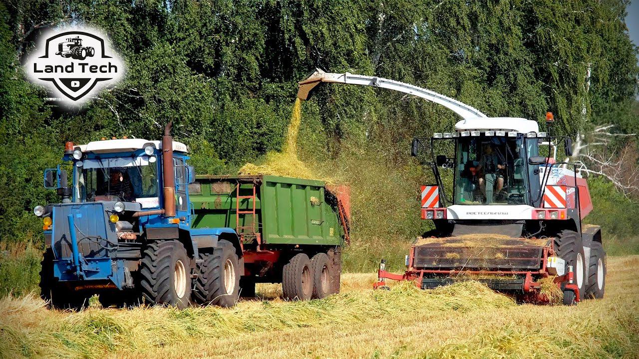 Кормоуборочный комбайн RSM F 1300 в действии! Уборка ячменя на сенаж - 2022! смотреть онлайн